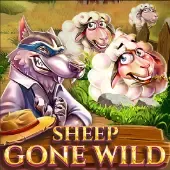 Sheep Gone Wild thumbnail